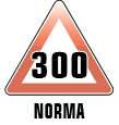 300 NORMA